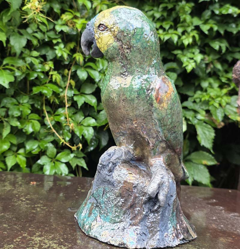 Blaustirnamazone content-portfolio-Amazone1