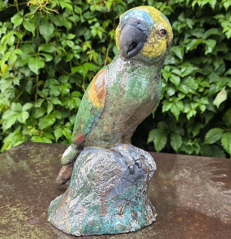 Blaustirnamazone content-portfolio-Amazone2