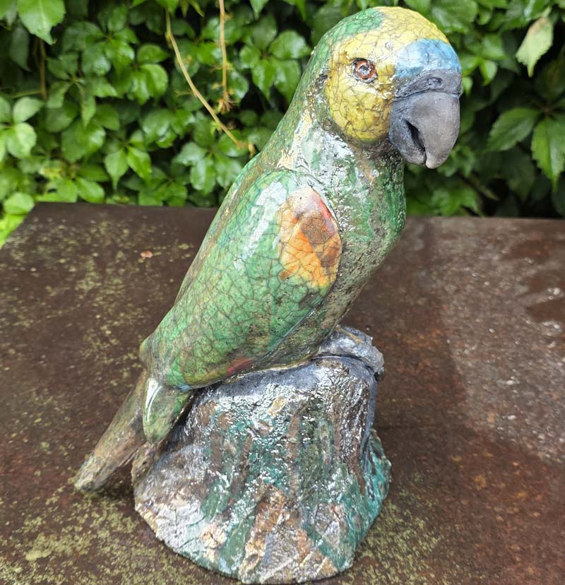 Blaustirnamazone content-portfolio-Amazone3