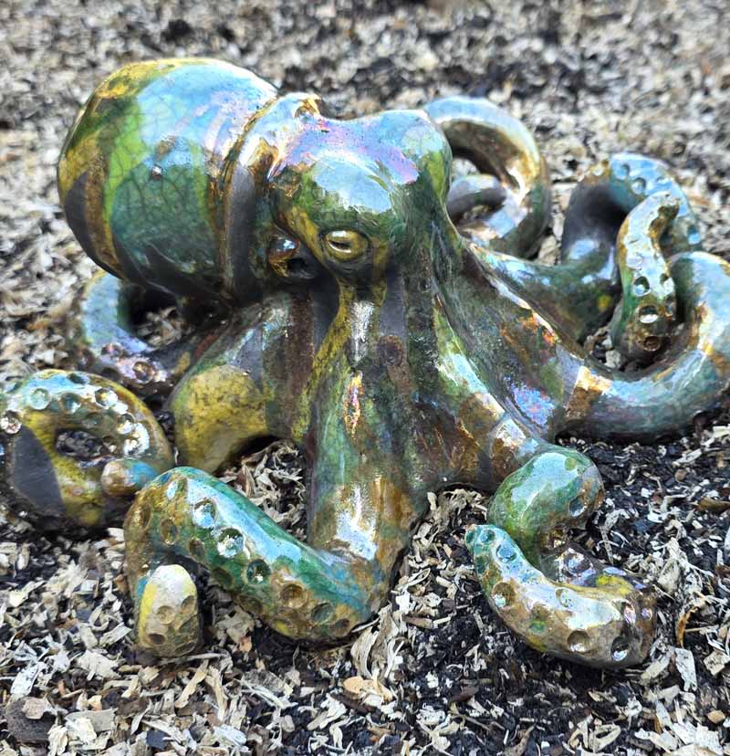 content-portfolio-Octopus-klein1