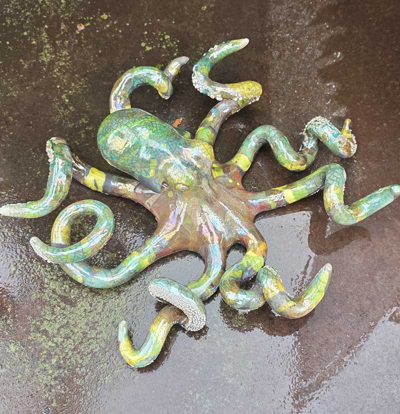 content-portfolio-Octopus4