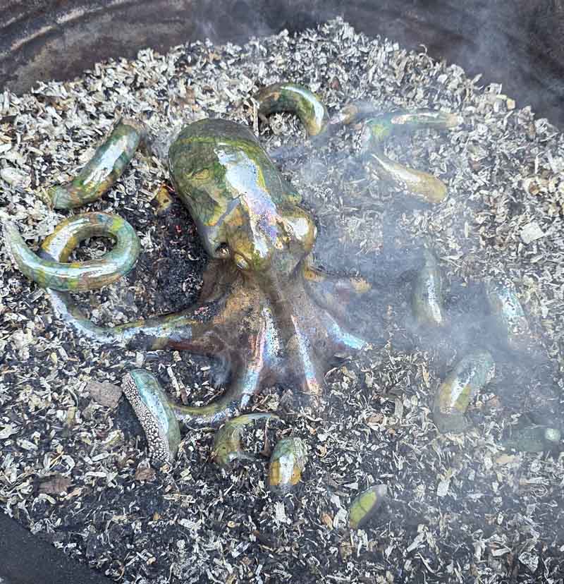 content-portfolio-Octopus5