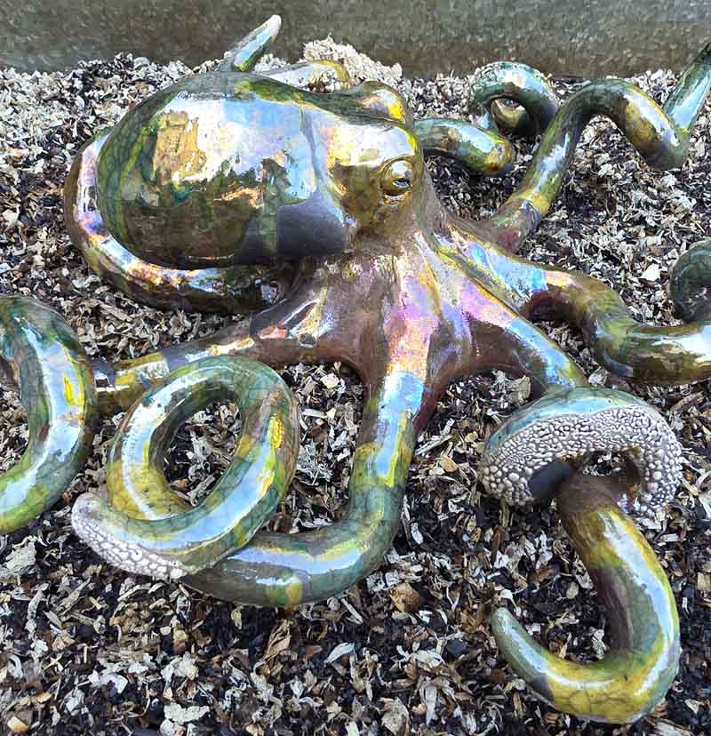 content-portfolio-Octopus6